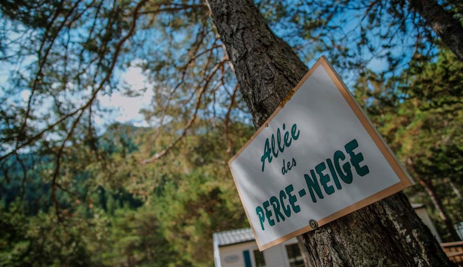 camping nature barcelonnette